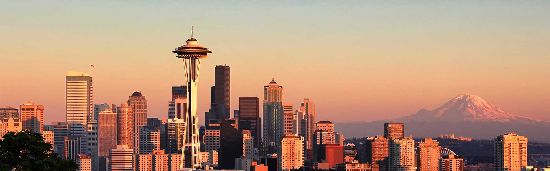 Image result for seattle skyline